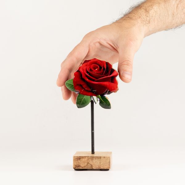 Plantas decorativas de madera - Mini rosa individual