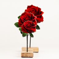 Plantas de madera para el hogar - Rosa individual mediana