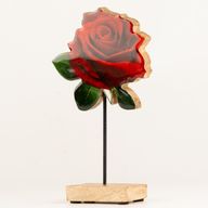 Plantas de madera – Rosa individual grande
