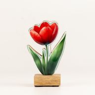 Plantas de madera para el hogar - Mini Tulipán