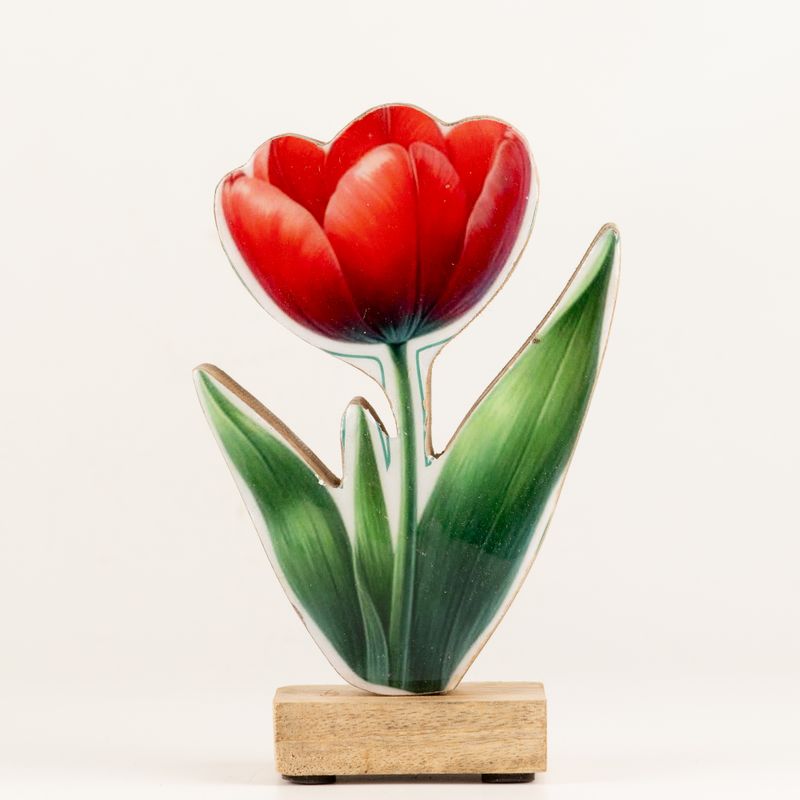 Plantas de madera para el hogar - Tulipán mediano