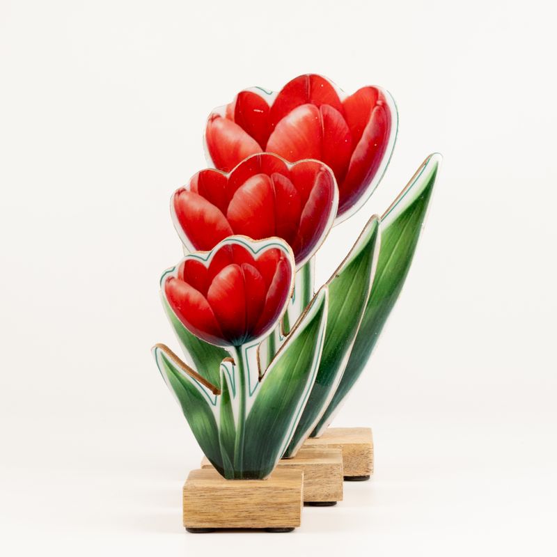 Plantas de madera para el hogar - Tulipán grande