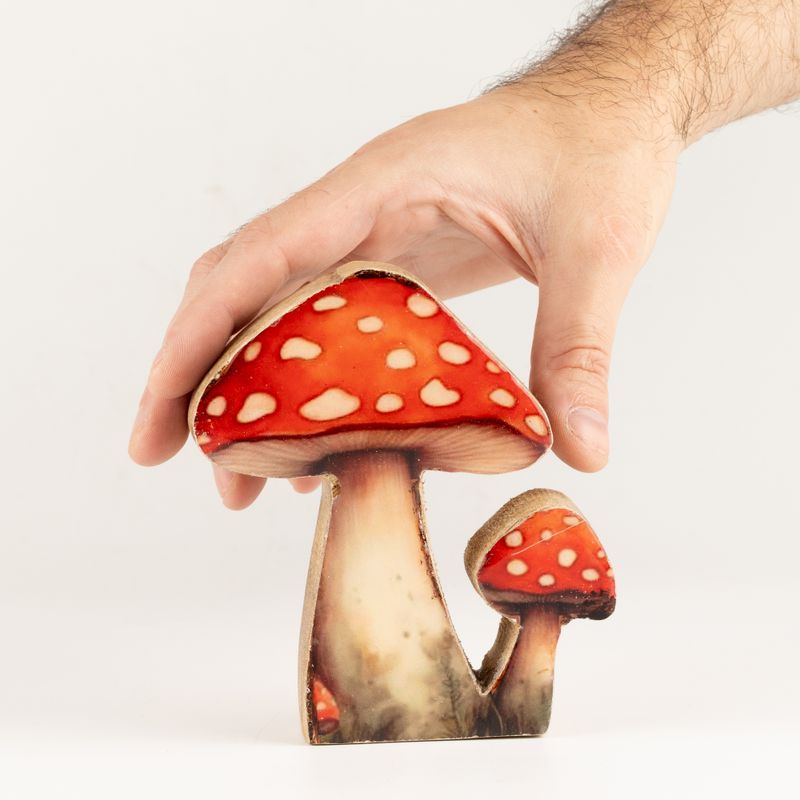 Plantas de interior de madera - Mini seta de sombrero rojo