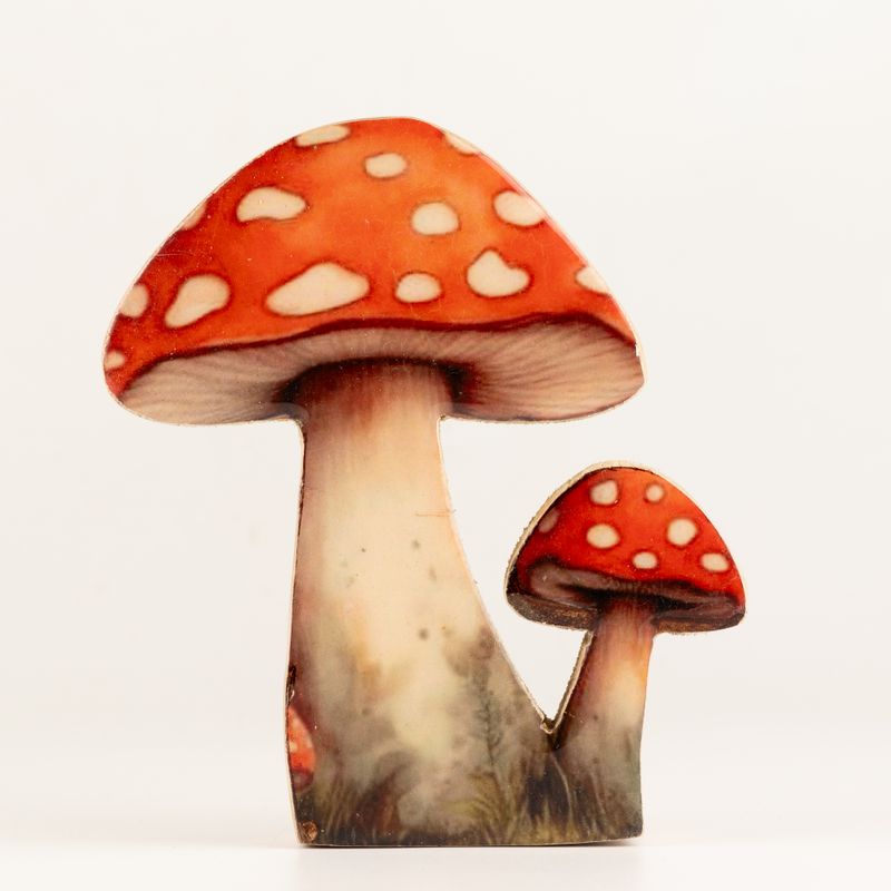 Plantas de madera para el hogar - Seta Redcap mediana