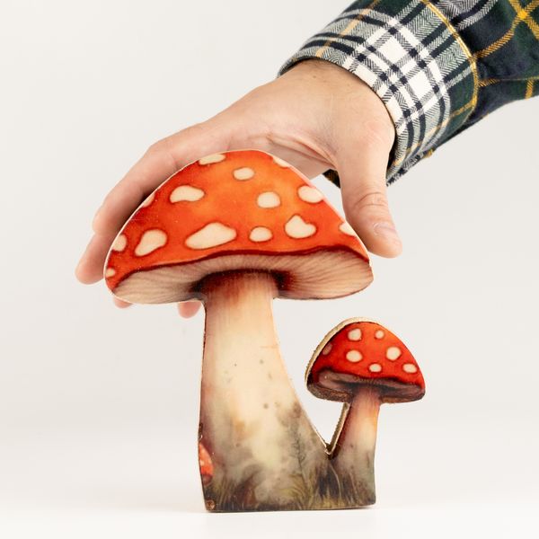 Plantas decorativas de madera - Seta Redcap mediana