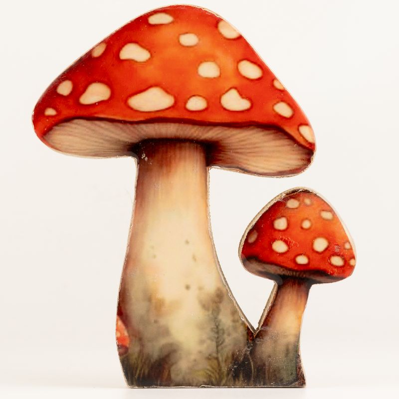 Plantas de madera para el hogar - Seta grande de sombrero rojo