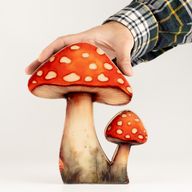Plantas de madera para el hogar - Seta grande de sombrero rojo
