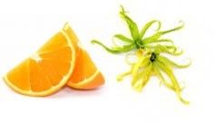 Champú Sólido - Ylang y Naranja