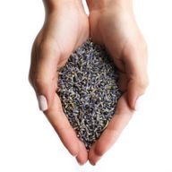 Flores de lavanda  (1KG)