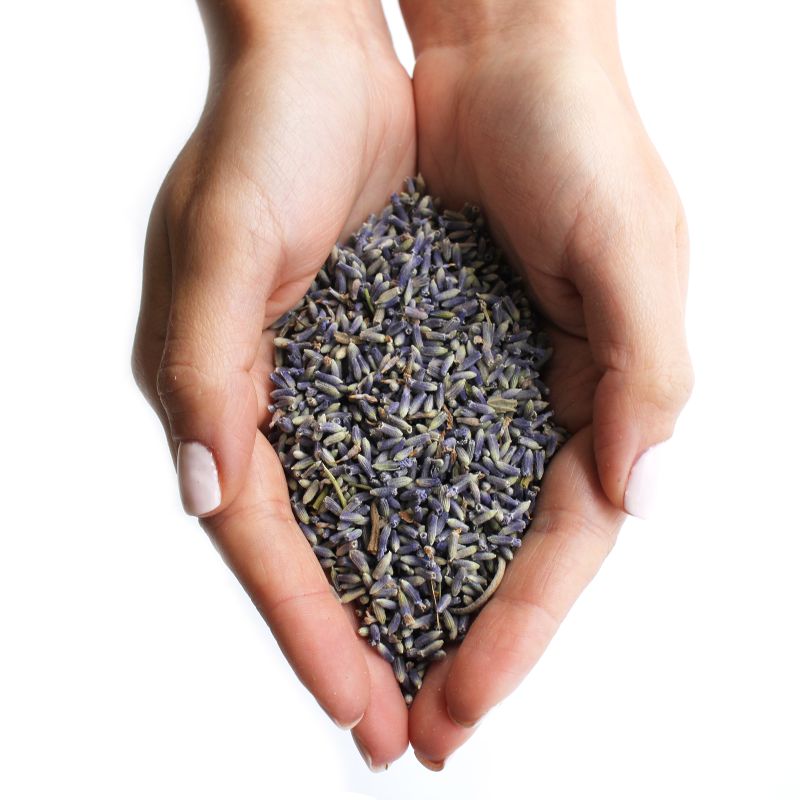 Flores de lavanda  (1KG)
