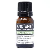 Aceite esencial orgánico - Eucalipto