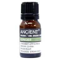 Aceite esencial orgánico - Jengibre