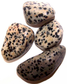 24x L Tumble Stones - Dalmata