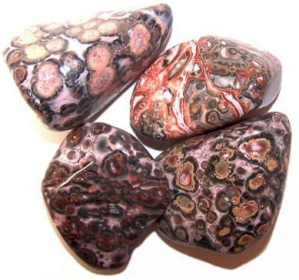 24x L Tumble Stones - Leopard Skin
