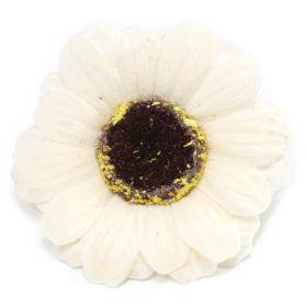 Flor de girasol manualidades deco mediana - marfil