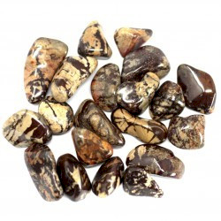 20x Piedra preciosa africana - Nguni