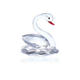 Cisne Blanco