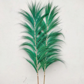 Palmera Verde de Rayung - 1.6m