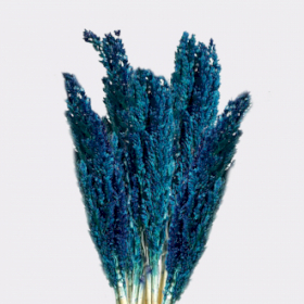 6x Manojo de Hierba Cantal - Azul