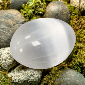 Piedra de Palma Selenita - 8 cm