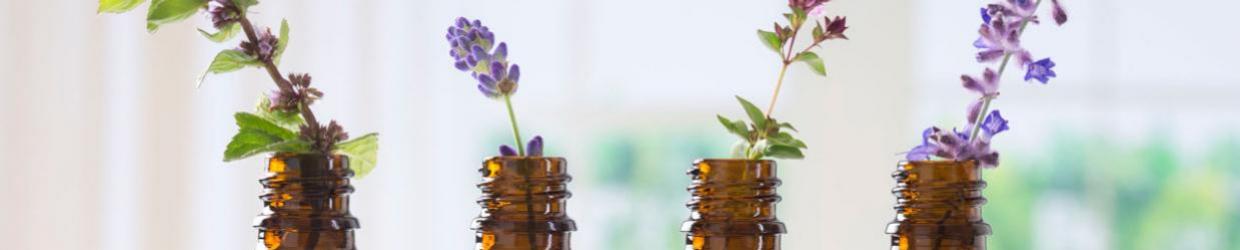 Proveedores de Aceites Esenciales para Revender en tu Tienda Online