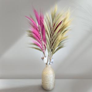 Palmeras Rayung para tu tienda Online