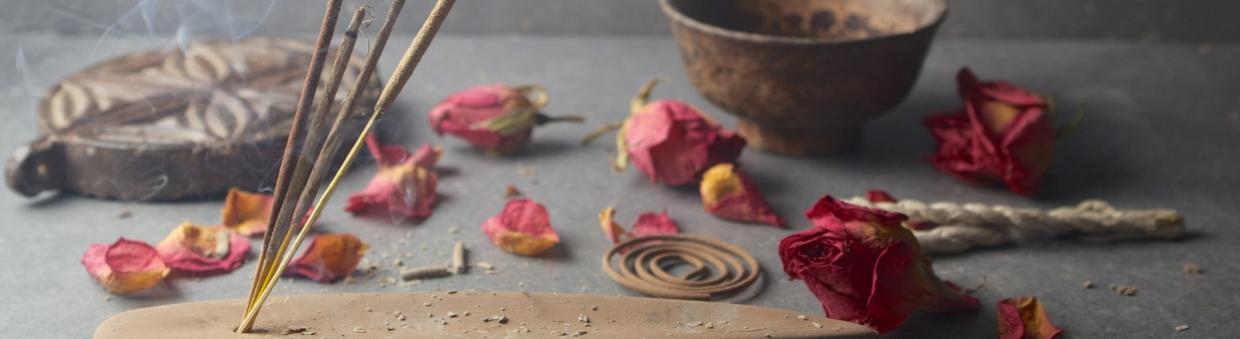 Proveedores de Flores de Rosas para revender en tu tienda online