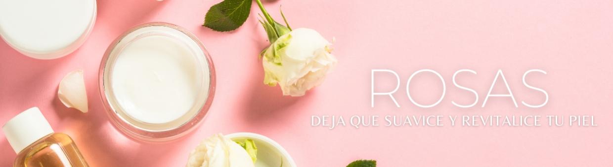 Proveedores de Rosas Elegantes