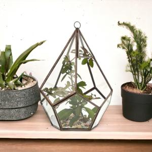 Productos de Decoración y Jardín para revender en su tienda online