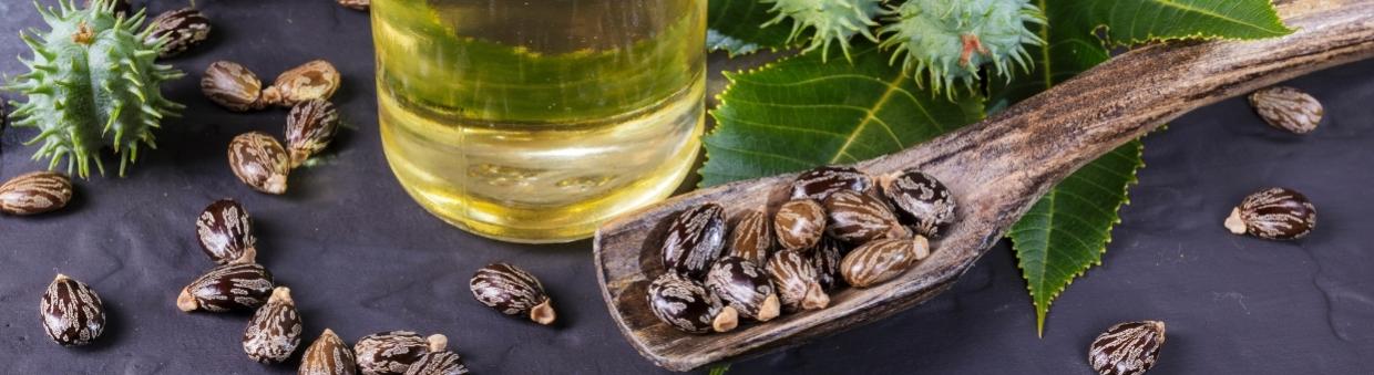 Proveedor de aceite de ricino para revender en tu tienda online